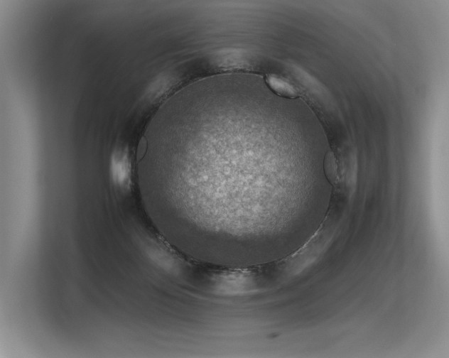 X0000113310124200909211150