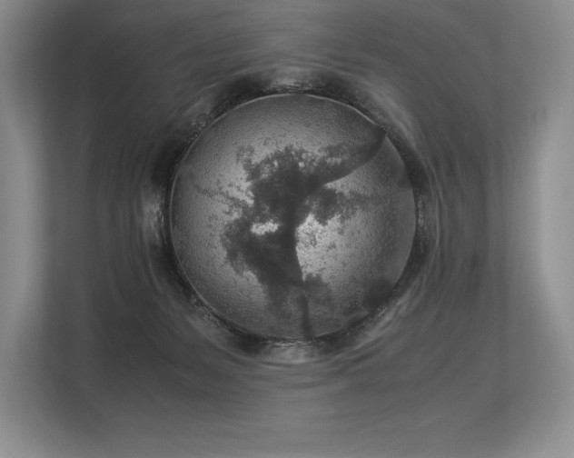 X0000113310127200909211150