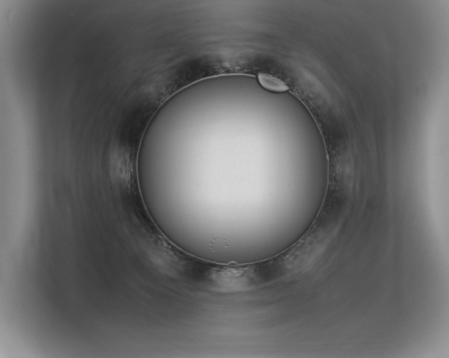 X0000113310129200909211150