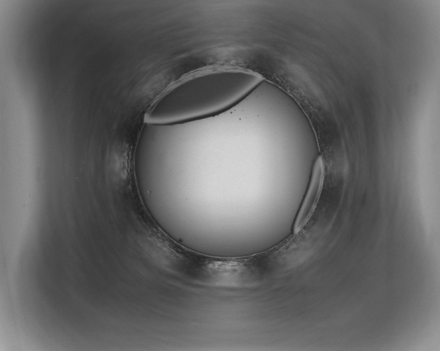 X0000113310133200909211149