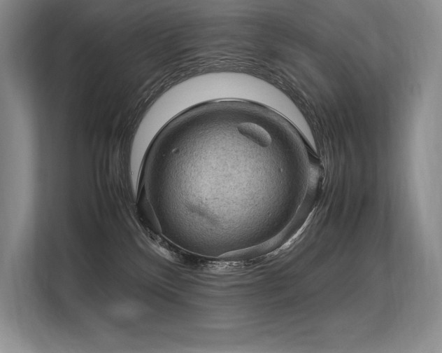 X0000113310136200909211149