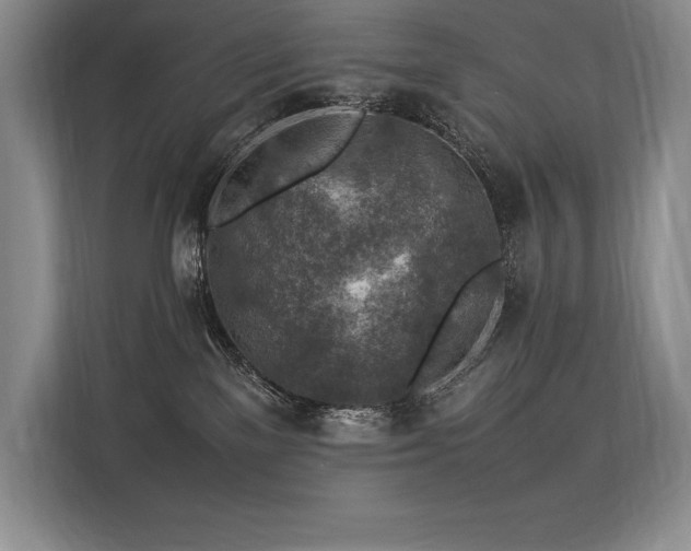 X0000113310137200909211149