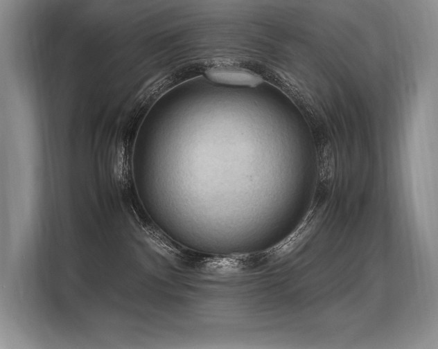 X0000113310140200909211149