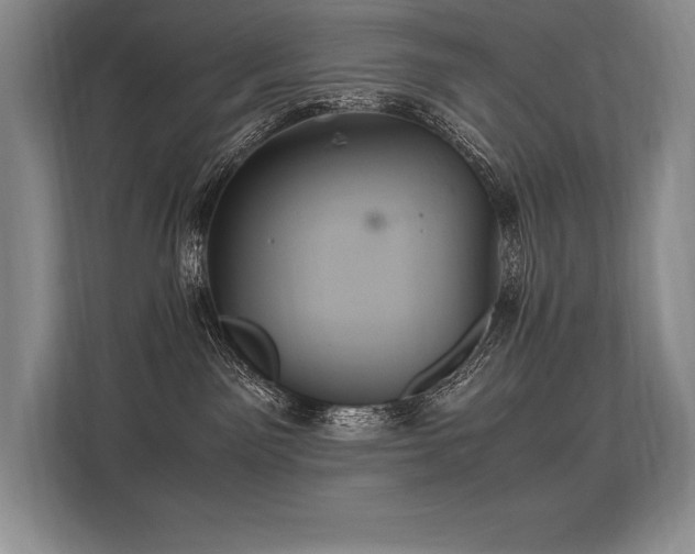 X0000113310141200909211149