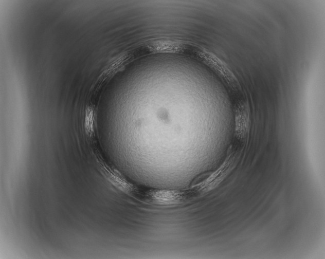 X0000113310142200909211149