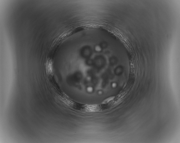 X0000113310143200909211149