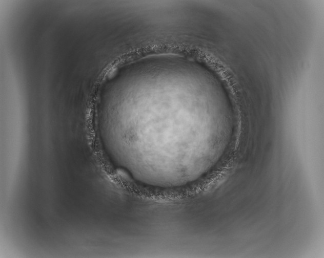 X0000113310144200909211149