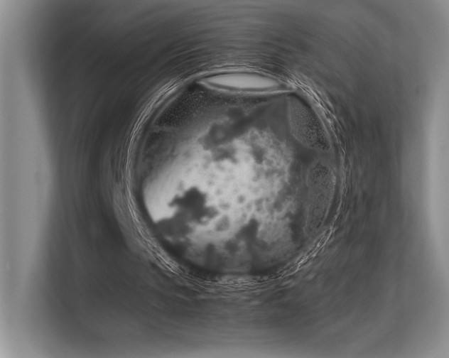 X0000113310145200909211149