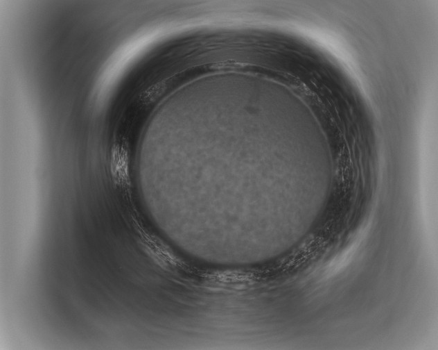 X0000113310146200909211149