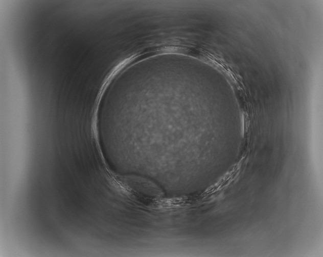 X0000113310147200909211149