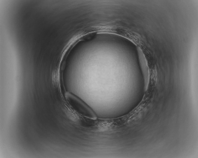 X0000113310148200909211149