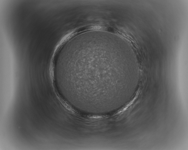 X0000113310149200909211149