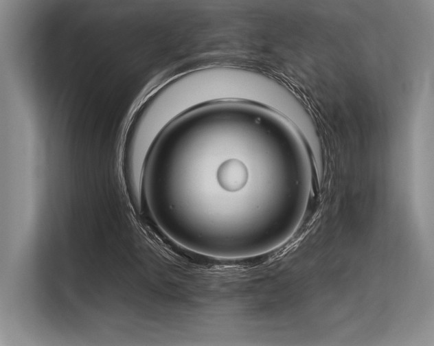 X0000113310150200909211149