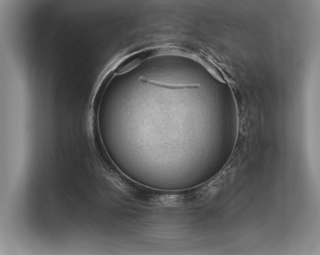 X0000113310152200909211149