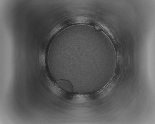 X0000113310154200909211149