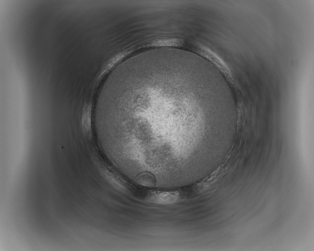 X0000113310155200909211149