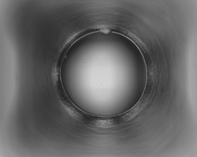 X0000113310160200909211149