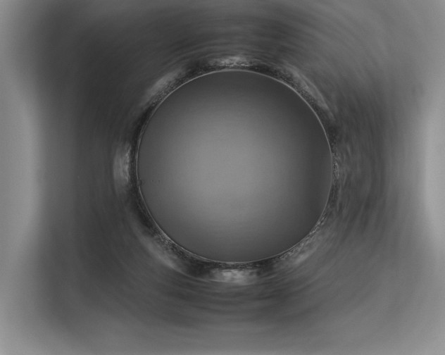 X0000113310163200909211149