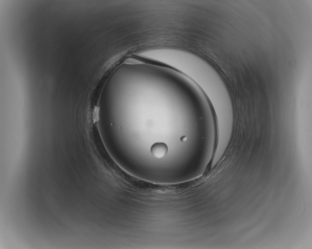 X0000113310164200909211149