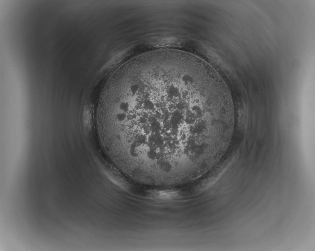 X0000113310165200909211149