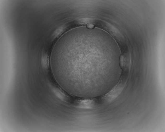 X0000113310168200909211149