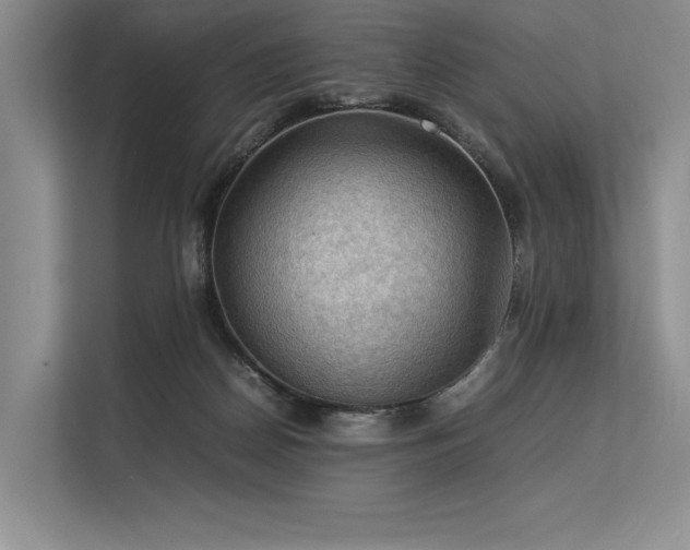 X0000113310170200909211149