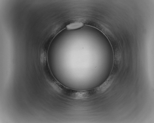 X0000113310172200909211149