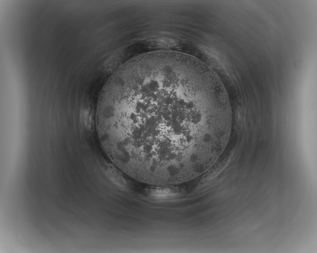 X0000113310177200909211149