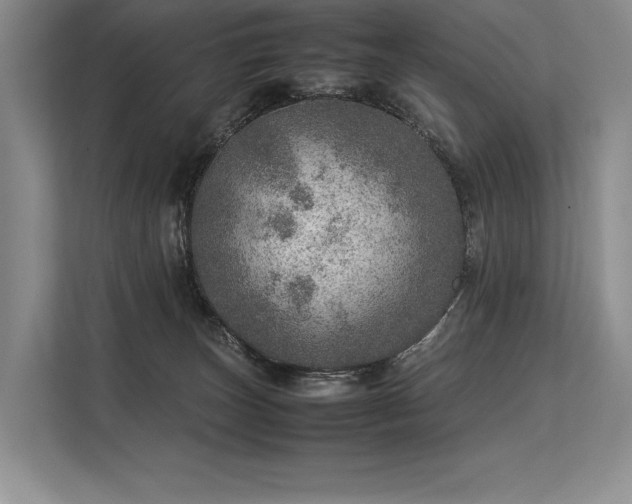 X0000113310179200909211149