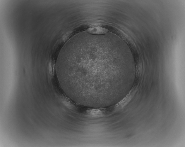 X0000113310180200909211149