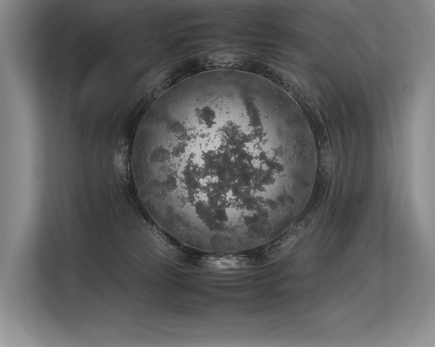 X0000113310181200909211149