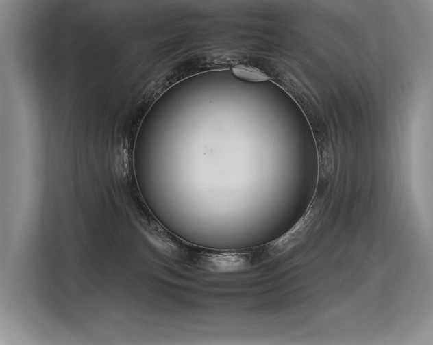 X0000113310183200909211149