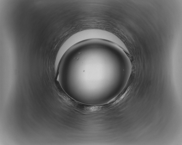 X0000113310184200909211149