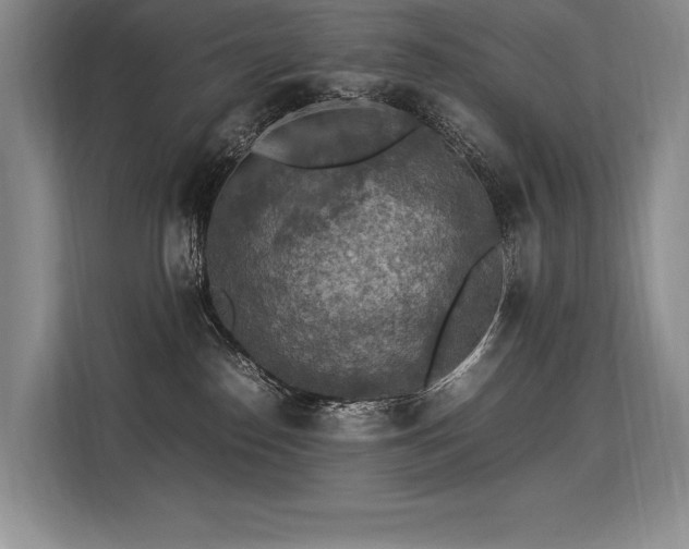 X0000113310186200909211149