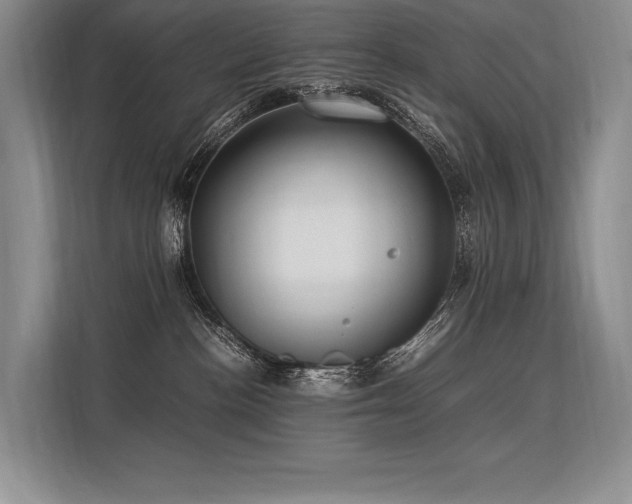 X0000113310188200909211149