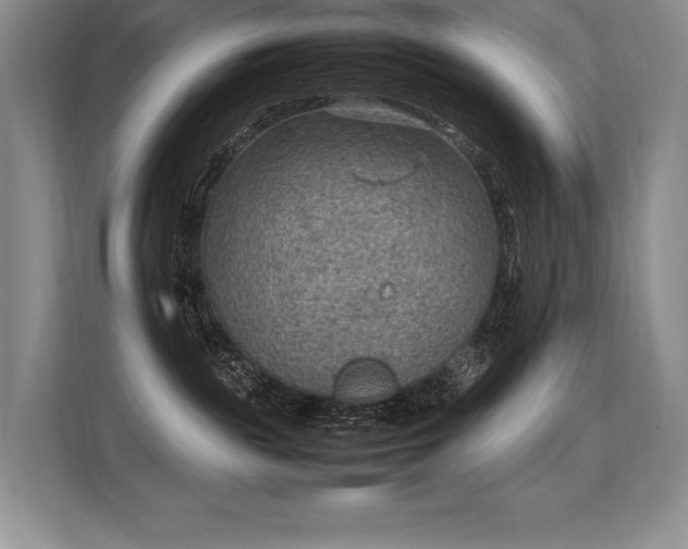 X0000113310189200909211149