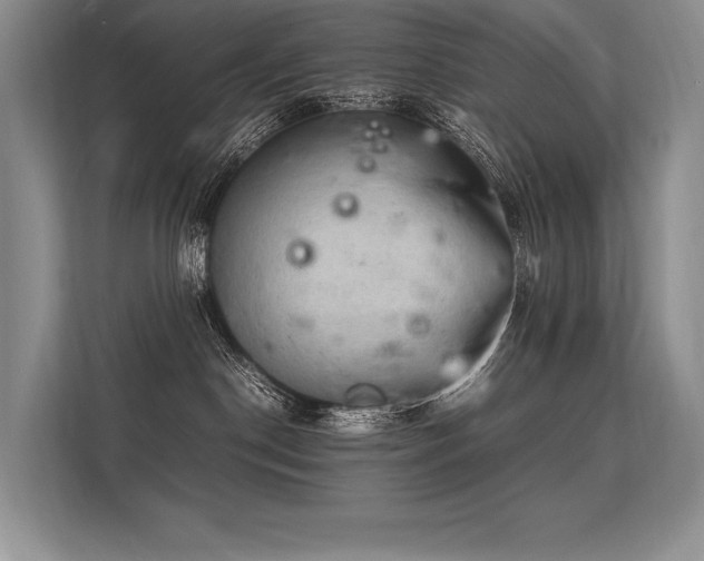 X0000113310190200909211149