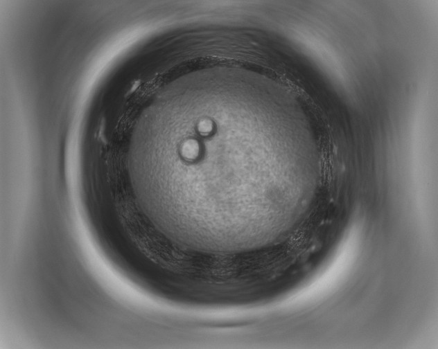 X0000113310191200909211149