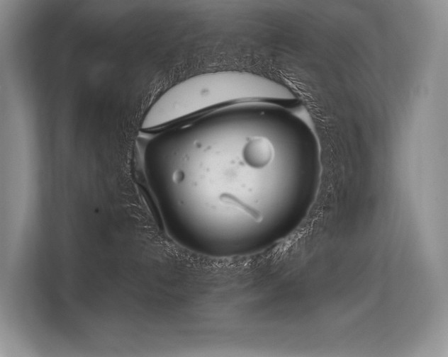 X0000113310192200909211149