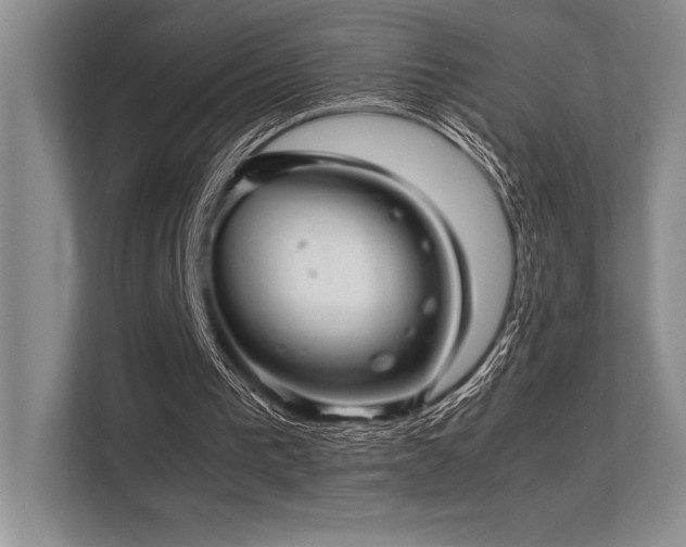 X0000113310193200909211149