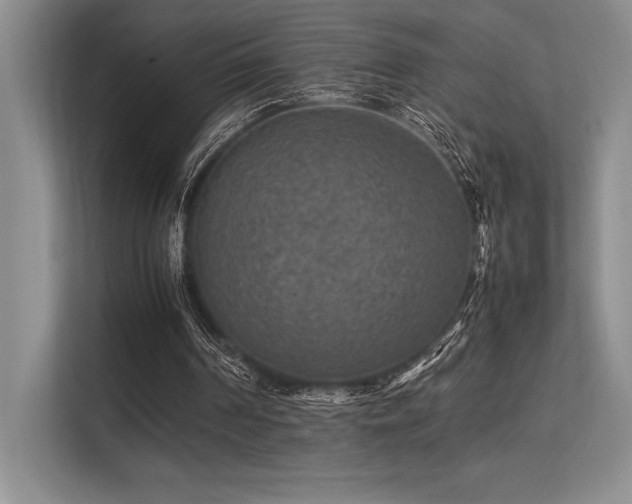 X0000113310194200909211149