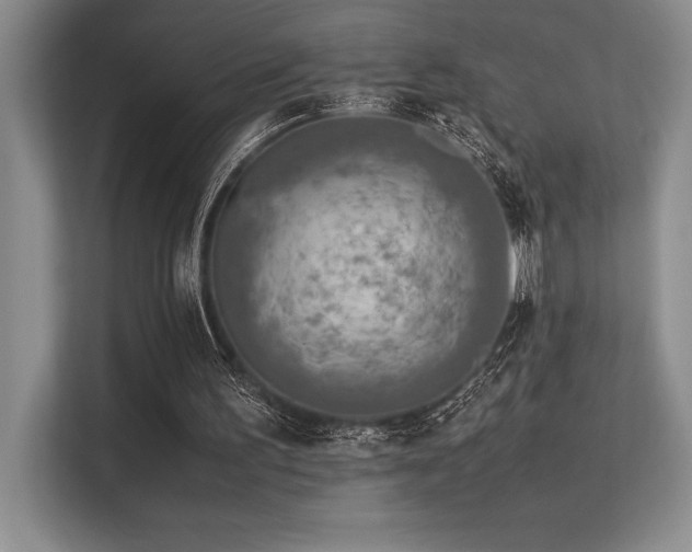 X0000113310195200909211149