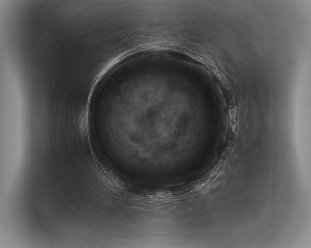 X0000113310196200909211149