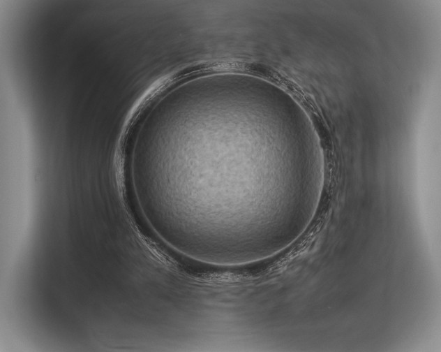 X0000113310197200909211149