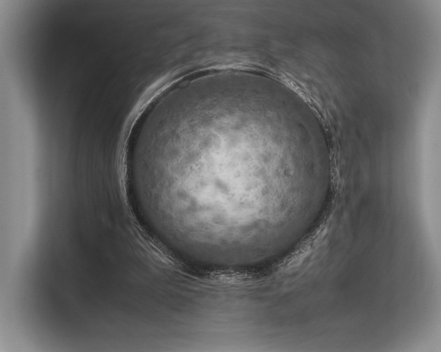 X0000113310199200909211149