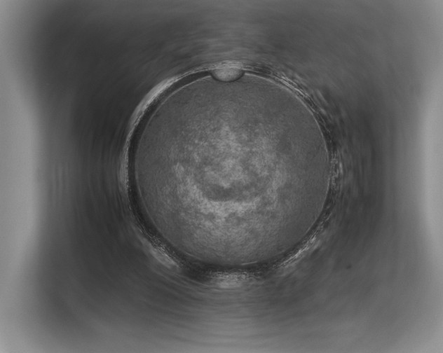 X0000113310200200909211149