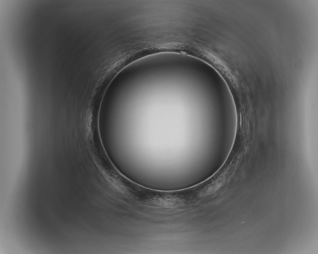 X0000113310201200909211149