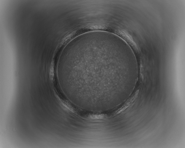 X0000113310202200909211149