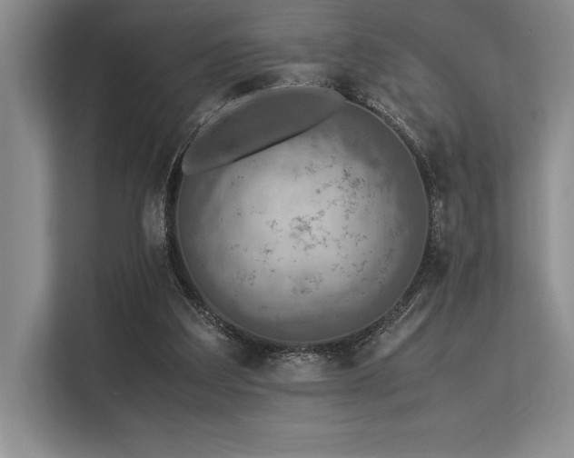 X0000113310203200909211149