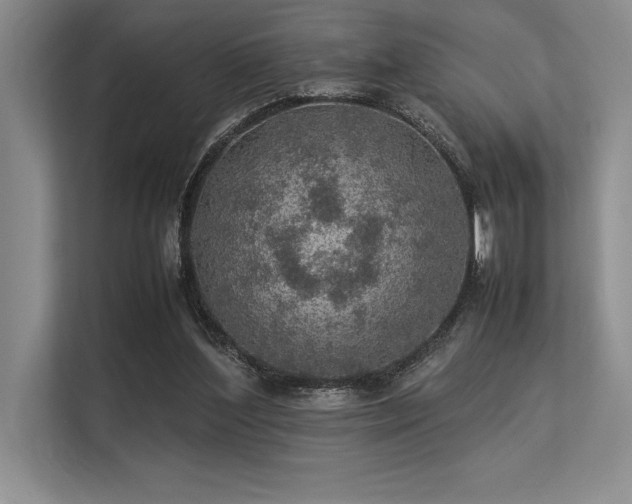 X0000113310204200909211149